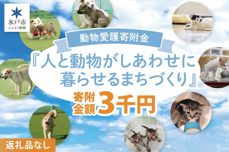 
            【返礼品なし】水戸市 動物愛護寄附金『人と動物がしあわせに暮らせるまちづくり』3000円【動物愛護 愛護活動 保護 犬 猫 いぬ ねこ イヌ ネコ 動物 ペット 応援 支援 水戸市どうぶつ愛護センター 茨城県】(LW-7)
          