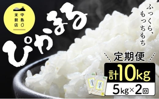 
                  KU156-0 【定期便・全2回】「超早場米」ぴかまる 計10kg（5kg×2回）【中島米穀店】
                