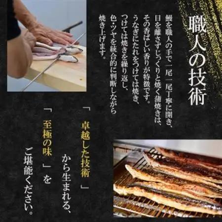 【冷凍1尾】岬町自慢の味　うなぎの川島家　国産うなぎ蒲焼　大サイズ(211g～225g)特製タレ付き_魚介・海産物 うなぎ  ウナギ 鰻_【配送不可地域：離島】【1488339】