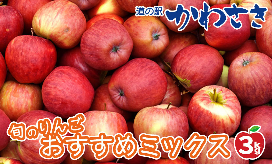 
            道の駅かわさき 旬のりんご 生産農家のおすすめ詰合せ 3kg
          