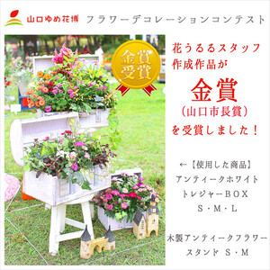 D015花うるるおまかせ寄せ植えﾄﾚｼﾞｬｰBOX[Sｻｲｽﾞ](玄関春夏秋冬ｾｯﾄｷﾞﾌﾄ花ﾌﾗﾜｰｷﾞﾌﾄﾌﾟﾚｾﾞﾝﾄ完成品鉢植えお花誕生日女性寄植え母の日妻ｶﾞｰﾃﾞﾆﾝｸﾞ新築祝い記念日開店