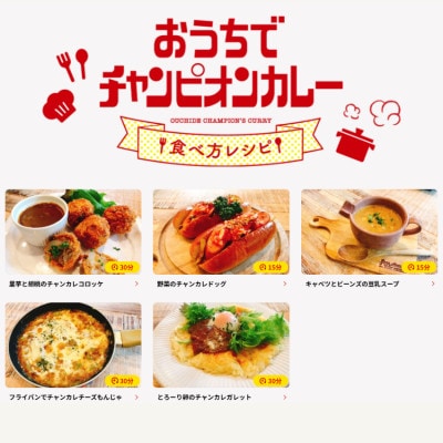 【66(ロクロク)企画限定商品】チャンピオンカレー レトルトカレー8個詰め合わせ