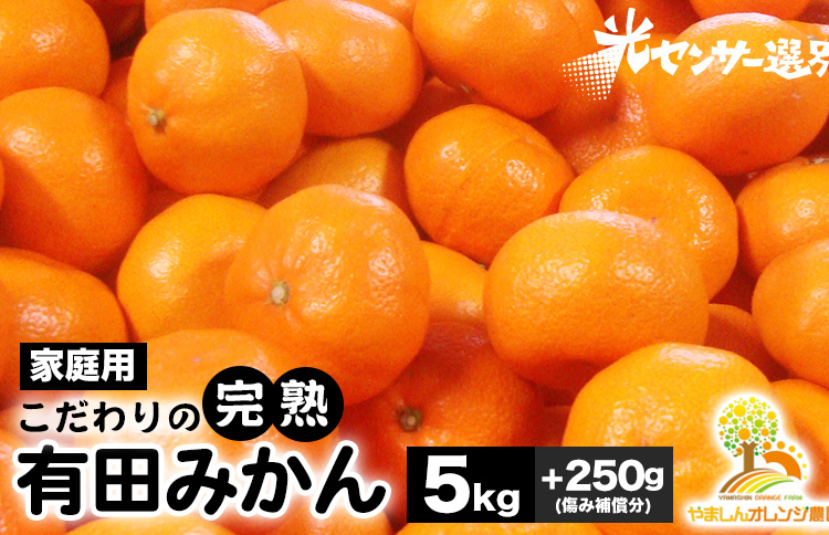 ＼光センサー選別／こだわりの完熟有田みかん 5kg＋250g(傷み補償分)【ご家庭用】サイズ混合 有機質肥料100% ｜ みかん 有田みかん 温州みかん ミカン 温州ミカン 柑橘 温州 甘い コク 産