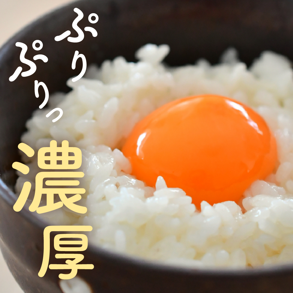 紅花たまご 60個セット 10個×6パック 卵 たまご 赤玉 鶏卵 黄身 白身 産みたて 卵かけ ご飯 親子丼 オムレツ 朝食 たんぱく質 新鮮 栄養 濃厚 甘み コク 山田鶏卵 送料無料 山形県 米
