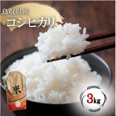 ふるさと納税 琴浦町 コシヒカリ 令和7年産 鳥取県産 3kg