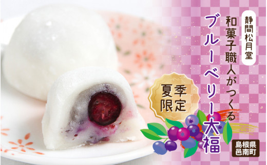
            【期間限定】和菓子職人がつくるブルーベリー大福6コ入　2パック　
          