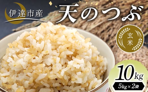令和7年産米 伊達市産 天のつぶ 玄米 10kg 訳あり ご飯 ごはん ライス 伊達市 F21C-394