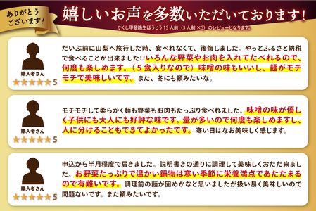 かくし甲斐路生ほうとう15人前（3人前×5）
