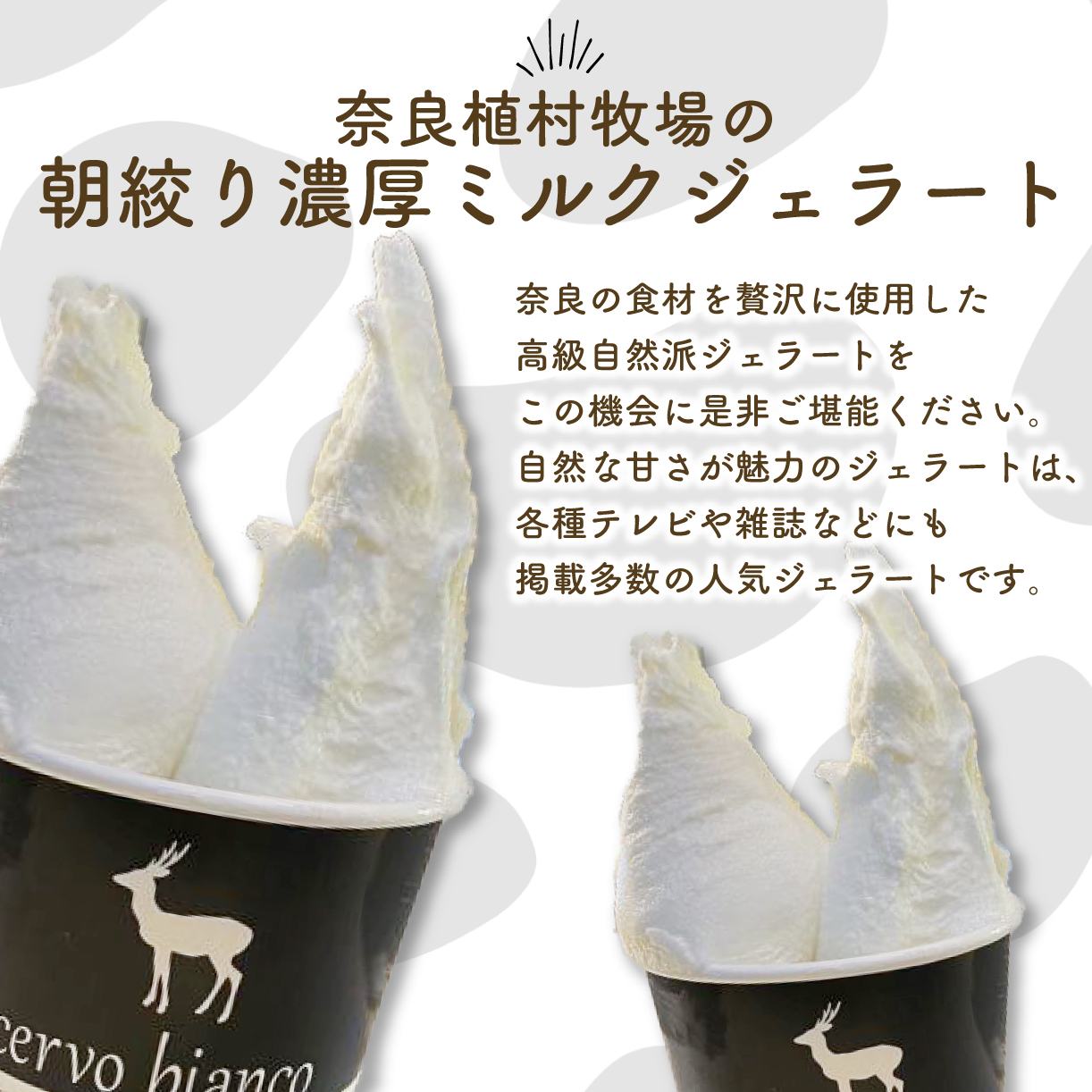 I-168 奈良の大人気店cervo biancoのジェラート 10個セット