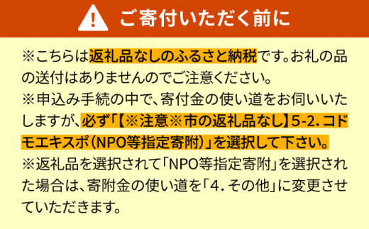 
【返礼品なし】コドモエキスポ壱岐への応援寄付（1口2,000円より）《壱岐市》
