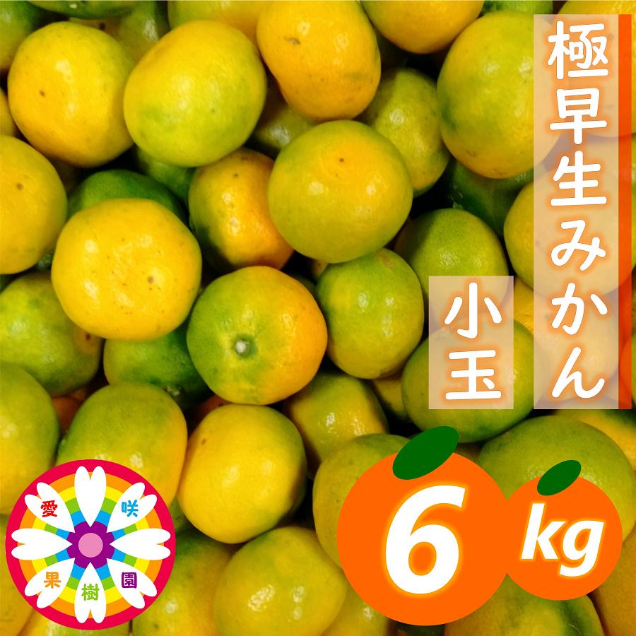 
                  【先行受付】「 極早生 みかん 」 小玉 約6kg《 愛咲果樹園 》【C71-3】【1326991】 YWTS003
                