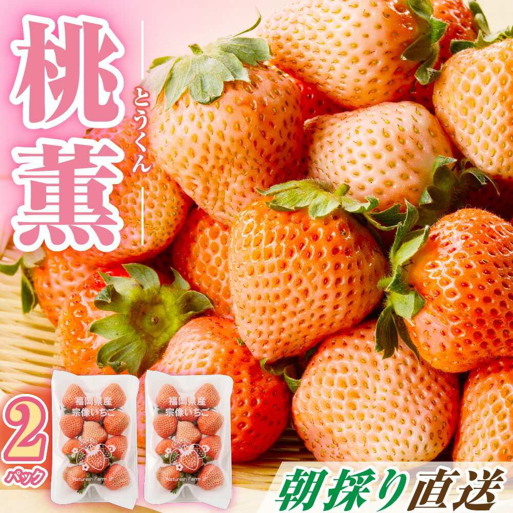 【ふるさと納税】福岡県産　桃薫　2パックセット【ナチュレッシュ・ファーム・ジェイピー】_HA1338 送料無料宗像市 果物 朝採れ フルーツ おやつ ご褒美 美味しい いちご イチゴ 苺 希少