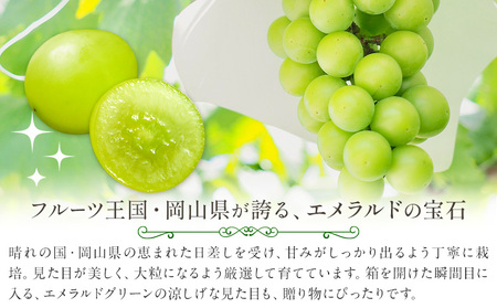 シャインマスカット 箱入り 2房 1房500g～600g 中嶋ぶどう園《9月上旬-10月下旬頃出荷》