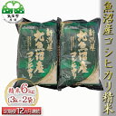 【ふるさと納税】魚沼産 コシヒカリ 精米 6kg （ 3kg ×2袋） 12ヶ月 連続お届け （ 米 定期便 定期 お米 新潟 魚沼 魚沼産コシヒカリ 魚沼産こしひかり 白米 新潟県産 お楽しみ 12回 ）　定期便　お届け：寄附入金月の翌月から発送