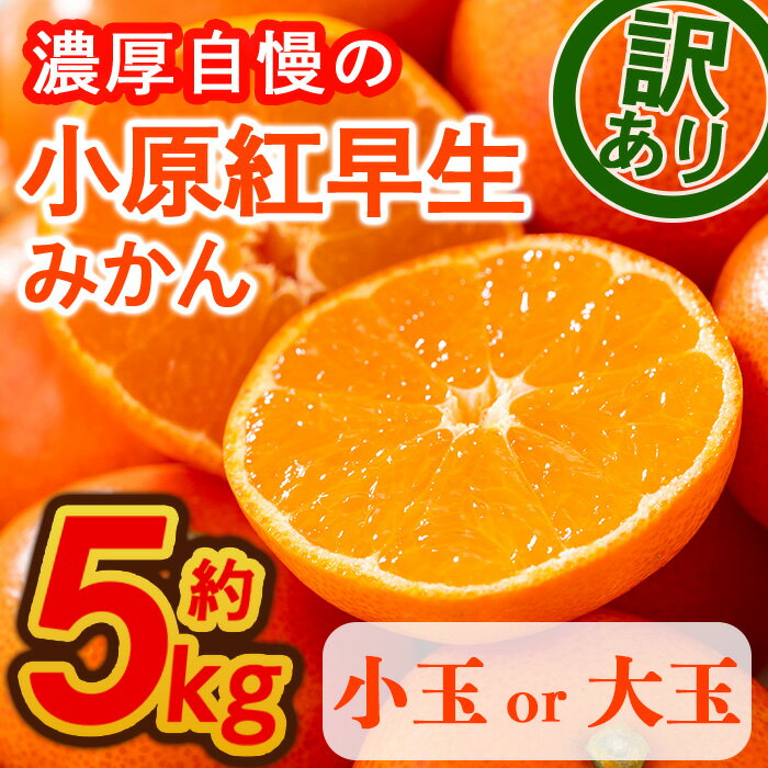 【ふるさと納税】＜先行予約！2025年11月下旬以降順次発送予定＞＜訳あり・家庭用＞＜選べるサイズ＞香川県産 小原紅早生みかん(約5kg/小玉・大玉)国産 果物 果実 くだもの フルーツ みかん 蜜柑 ミニ 小さい 傷あり 【man089】【Aglio nero】