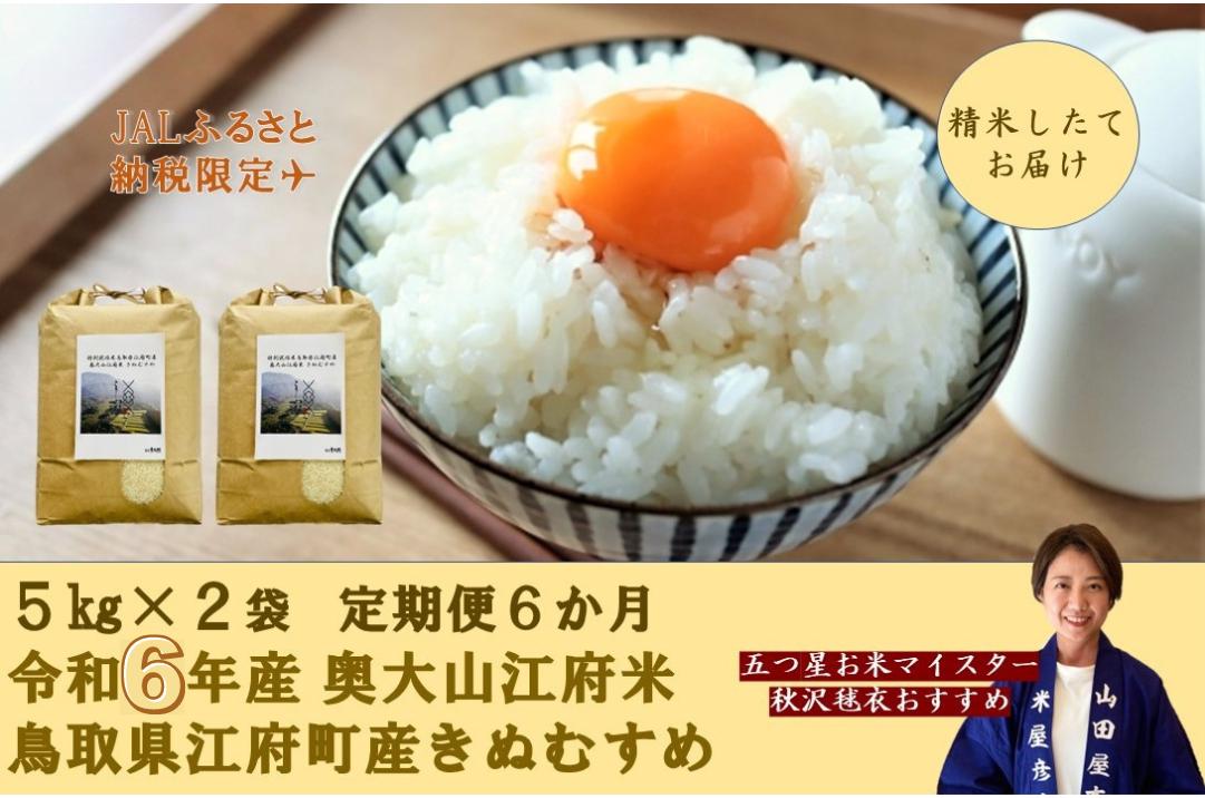 【JALふるさと納税限定】-定期便6回- 令和6年産 特別栽培米きぬむすめ 奥大山江府米 6ヶ月 5kg×2 鳥取県江府町産 先行予約 YA7 0838