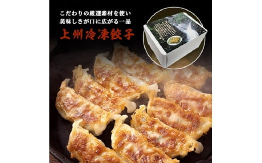 【5】おざわの上州冷凍餃子25個入り