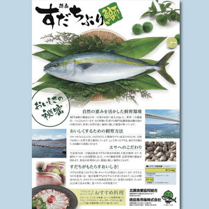 すだちぶり 2柵 カマ入り 10月から11月末まで発送 すだち ぶり 鰤 刺身 ぶりしゃぶ 切り身 さしみ カマ ぶりかま ご飯 米 こめ 丼 柑橘 塩 焼き ブランド 鮮度 新鮮 下処理済み 簡単 
