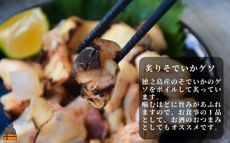 徳之島の漁師が荒波で釣り上げたそでいか 5種の極み ボイル・スモーキー・いかキムチ・つけあげ ・炙りげそ（ ５つの美味しさ ソデイカ いか イカ ）