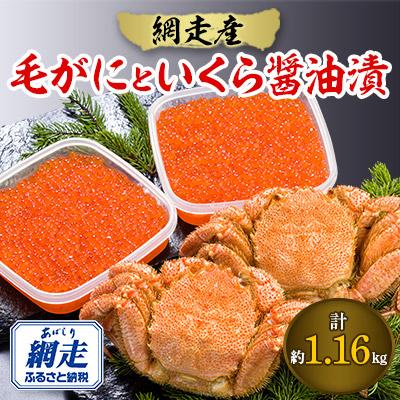 ふるさと納税 網走市 網走の毛がにといくら醤油漬