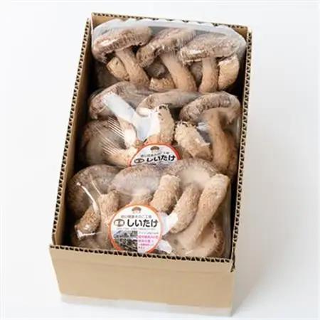 【農福連携】千葉県館山産 生しいたけ110g×5パック 就労継続支援A/B型併用事業所「ゆみの里」【配送不可地域：離島・沖縄県】【1486687】