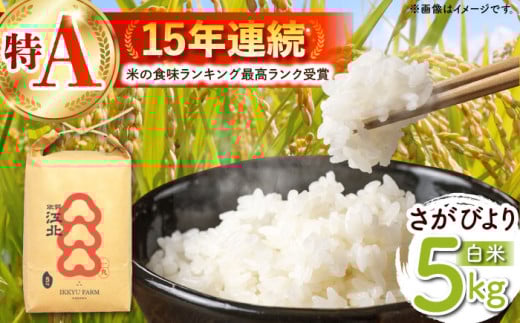 【ご飯でご飯が食べられる！】令和7年産 さがびより 白米 5kg（一等米）【一九FARM】 [HDC001] 米 こめ 白米 精米 お米
