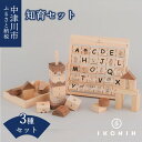 【ふるさと納税】IKONIH 知育セット F4N-0895