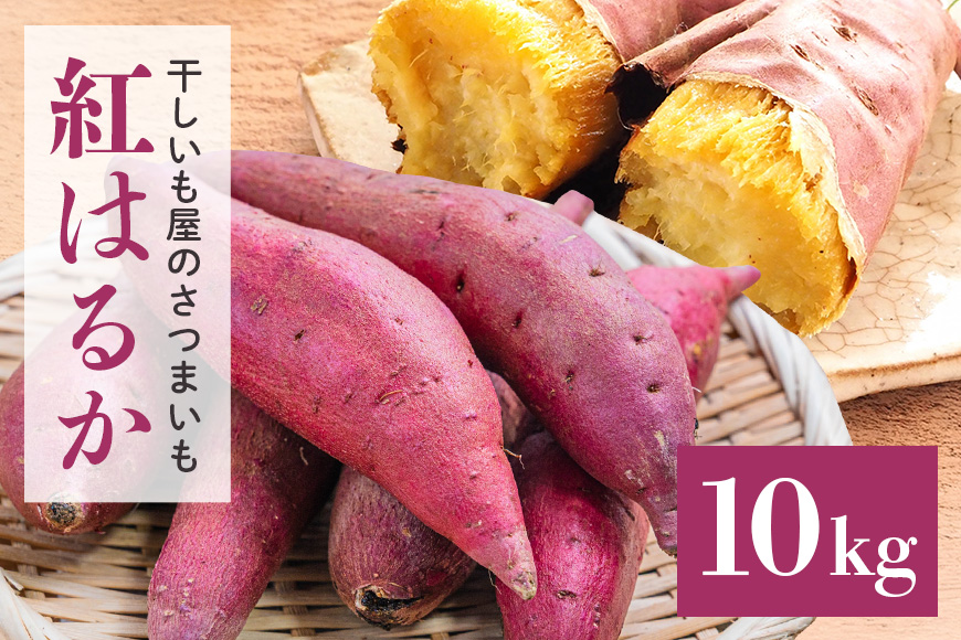 干し芋屋のさつまいも（紅はるか） 10kg サツマイモ さつま芋 生芋 べにはるか ベニハルカ 国産 茨城県産 12-S