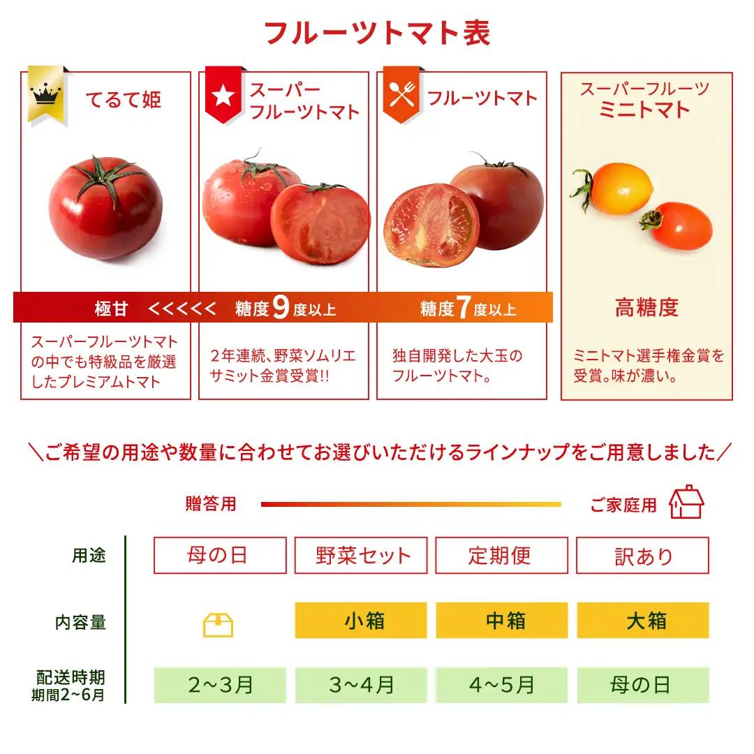 《 2027年 収穫分 》2～6月配送 スーパーフルーツトマト てるて姫 大箱 約2.6kg × 1箱 【20～35玉/1箱】 糖度9度以上 先行予約 フルーツトマト ブランドトマト 野菜 ギフト 贈