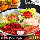 【ふるさと納税】 贅沢バラエティセット 540g 千興ファーム 馬肉 冷凍 《60日以内に出荷予定(土日祝除く)》 新鮮 さばきたて 生食用 肉 熊本県御船町 馬刺し 馬肉 惣菜 希少部位 ばさし 馬刺 贈答 ギフト