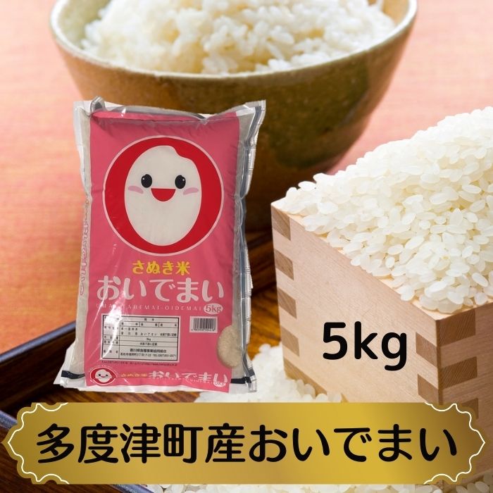 【令和7年産新米】多度津町産おいでまい 5kg【L-37】