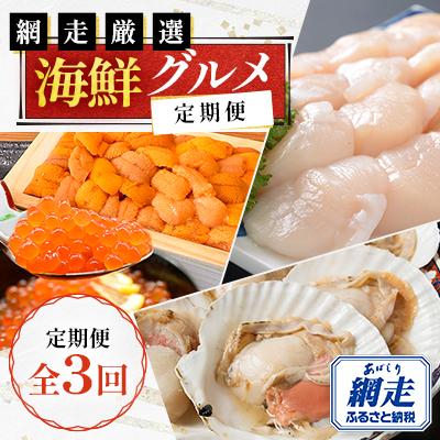 ふるさと納税 網走市 【毎月定期便】網走厳選の海鮮グルメ定期便(バフン雲丹とイクラ醤油漬け・刺身帆立・片貝ホタテ)全3回
