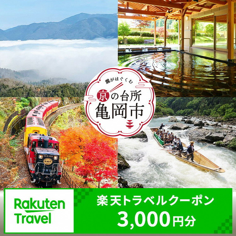 【ふるさと納税】京都府亀岡市の対象施設で使える楽天トラベルクーポン 寄付額10,000円 京都 旅行 温泉 観光