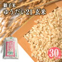 【ふるさと納税】 【令和6年産】獅子米 ゆうだい21 玄米30kg お米 米 おこめ ブランド米 30キロ 国産 単一原料米 コメ こめ ご飯 銘柄米 茨城県産 茨城 産直 産地直送 農家直送 ごはん 家庭用 贈答用 お取り寄せ ギフト 茨城県 石岡市 送料無料 (G433)