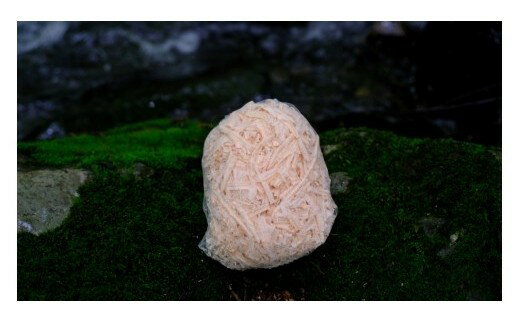 【ふるさと納税】【大容量】森の恵みの芳香剤　(1ネット×10セット同梱)
