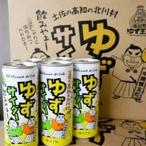 【毎月定期便】ゆずサイダー30本/1ケース全3回【4052624】