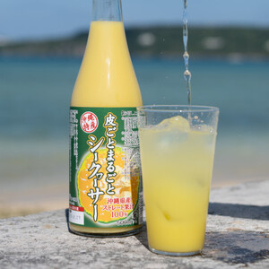 【果汁100%】皮ごとまるごとシークヮーサー500ml×2本セット【1342199】