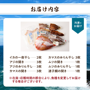 元漁師が手掛ける厳選干物 玄界灘の恵 8種盛り｜ イカ アジ カマス ムツ カツオ 鯛 ブリ 干物【B006】