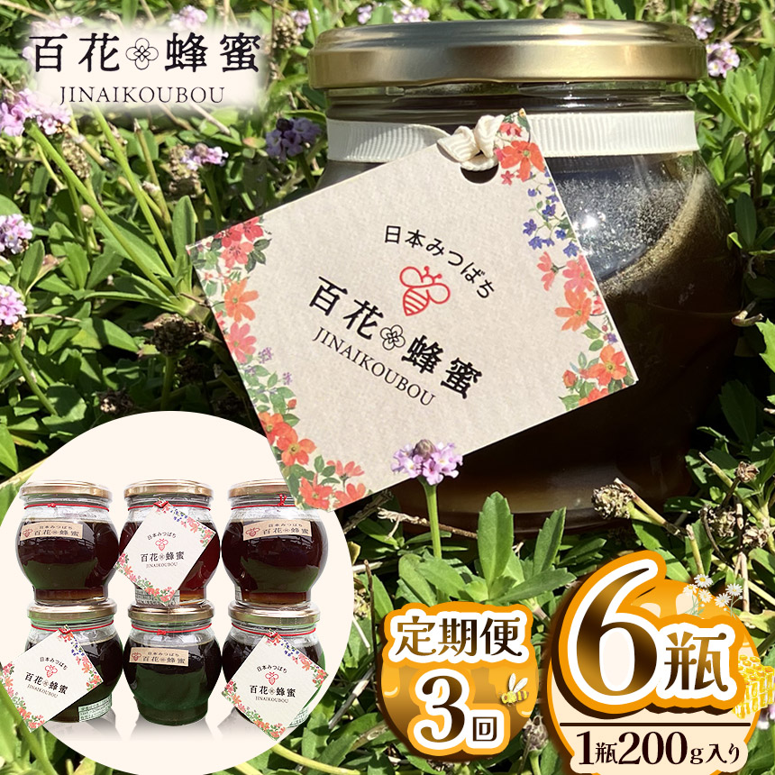 【定期便3回】日本ミツバチの百花蜂蜜（6瓶）