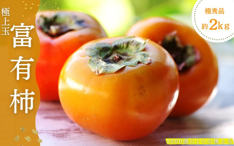 
            【限定】 富有柿 約2kg～2.5kg 6個入 至高の逸品 約1000個に１個！【先行予約】【2025年10月末頃から11月末頃順次発送】【KG5】
          