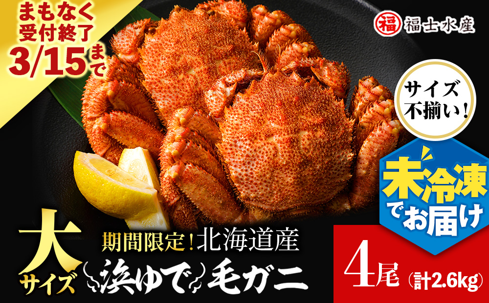 【2027年発送予約】チルドでお届け！ 浜茹で毛ガニ大サイズ４尾（不揃い合計約2.6kg） 〈福士水産〉