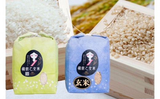 令和8年産 新米 先行予約 備前乙女米 白米2kg×1袋 玄米2kg×1袋 岡山県産 | 米 お米 白米 精米 玄米 特A きぬむすめ 石原果樹園 【ishk053-01】