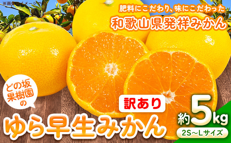 
                  訳あり ゆら 早生 みかん 約 5kg (2S～Lサイズ) どの坂果樹園《10月中旬-12月上旬頃出荷予定》 和歌山県 日高町 みかん ゆら早生 訳あり 旬 柑橘 フルーツ 果物 ミカン 蜜柑 家庭用 わけあり
                