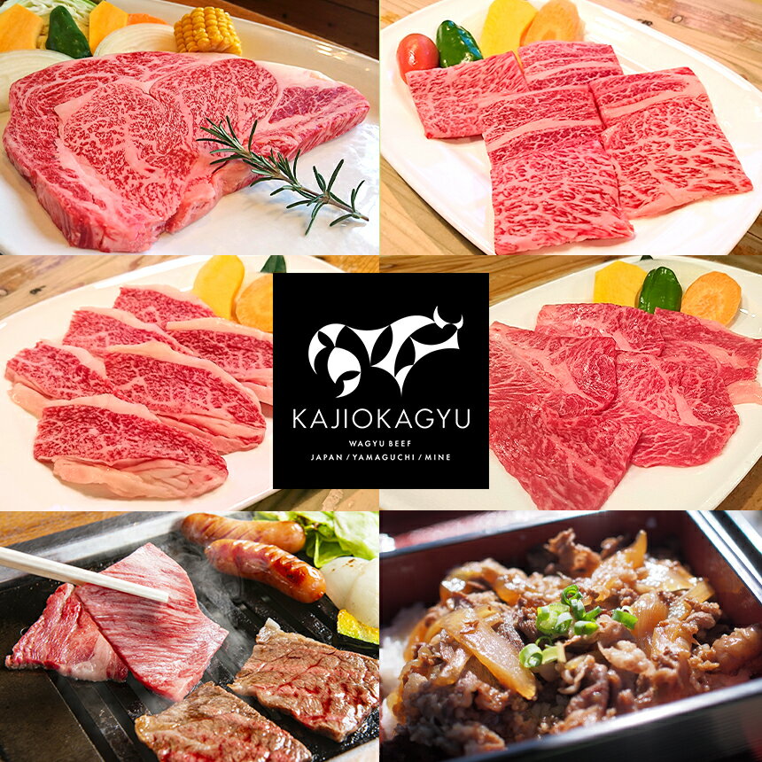 【ふるさと納税】 梶岡牛 【 ロースステーキ・フィレステーキ・肩ロース・バラカルビ・ウデ・すき焼きコマ肉・マエバラスライス 】セット ｜ 牛肉 肉 にく グルメ バラ カルビ スライス ステーキ ロース フィレ 肩ロース すき焼き セット 詰め合わせ 冷凍 特産品 山口 美祢