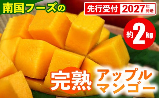 
                  【先行受付】【2027年発送】南国フーズの完熟アップルマンゴー 約2kg - 先行予約 沖縄県産 産地直送 南国フルーツ 旬の味覚 旬のフルーツ 贈り物 ギフト 沖縄県 八重瀬町
                