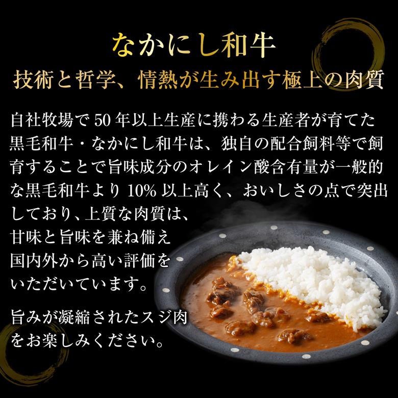 宮崎県西ノ原牧場・黒毛和牛 牛すじ ビーフカレー 5P 牛肉 国産 和牛 牛スジ カレー レトルト 簡単調理