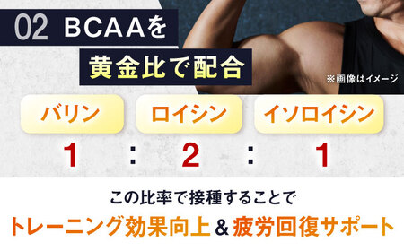 ALPRON PRO BCAA 420g パイナップル風味 1個 筋トレ 健康 サプリ 島根県雲南市/株式会社アルプロン[AIAL085]