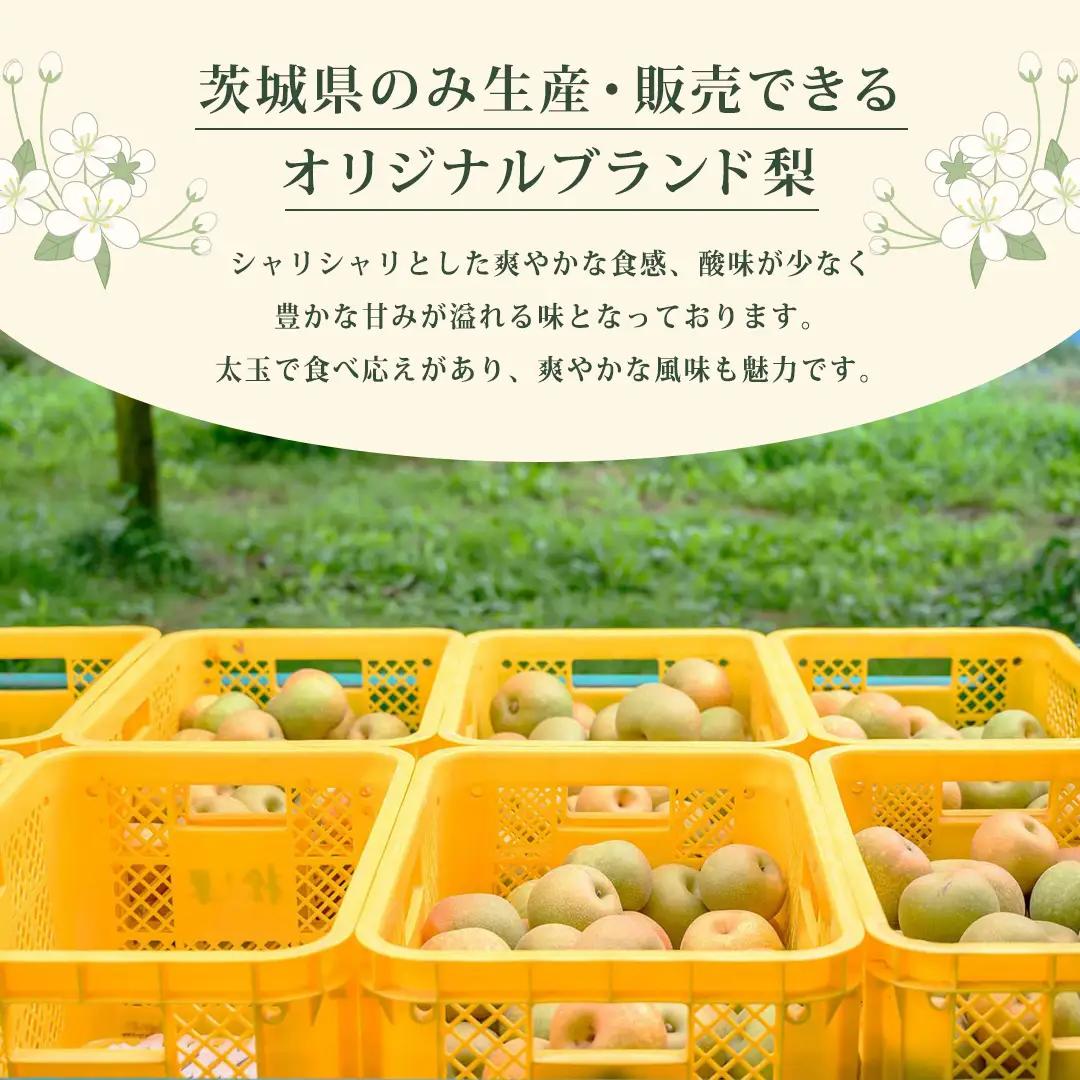 【2026年9月上旬発送開始】 茨城県 オリジナル 幻の 高級梨 『 恵水 』 約 3kg 5玉 ～ 7玉 【茨城県共通返礼品／常陸太田市】 桧山果樹園 農家直送 桧山果樹園 農家直送 フルーツ  甘