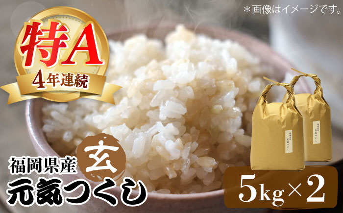 福岡県産【特A】評価のお米「元気つくし」5kg×2袋 [10kg] [玄米]《築上町》【株式会社ベネフィス】 [ABDF031]  ご飯 ごはん 米 こめ コメ おにぎり