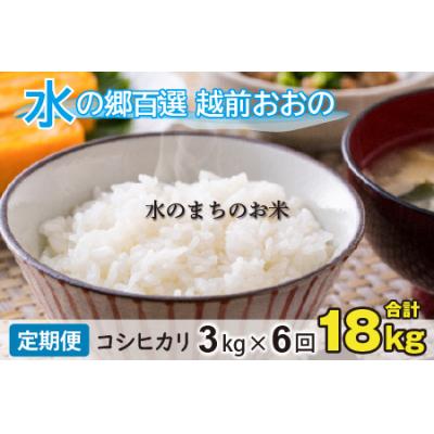 ふるさと納税 大野市 【令和7年産】【6ヶ月定期便】こしひかり 3kg×6回 計18kg【白米】「エコファーマー米」